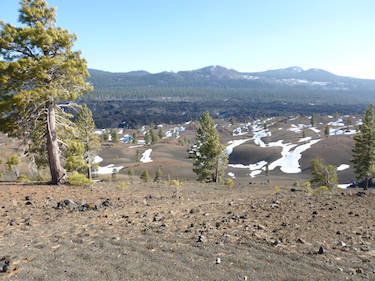 Services | Shasta Lake Veterinary